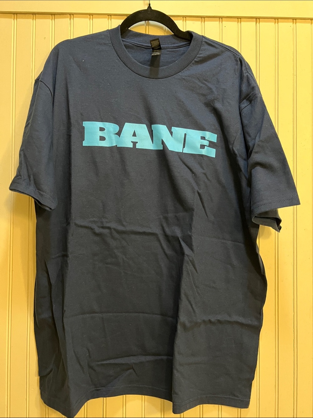 Gildan Navy Short Sleeve Tee with Teal BANE Logo